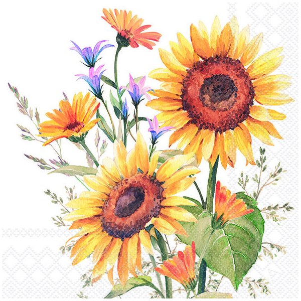 Servietten Lunch Gänseblümchen Daisy All Over Blumen 33x33cm 20 Servietten 3 Lagig