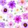 Servietten Lunch Summer Glory Sommerblumen lila 33x33cm 20 Servietten