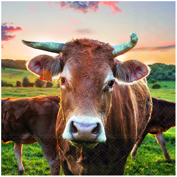 A-2026 Servietten Format: 33 x 33 cm 3-lagig 20 Servietten Cow In Sunset Kuh im Sonnenuntergang