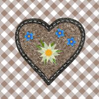 Servietten Lunch 33x33 cm 3-lagig 20 Servietten Edelweiss...