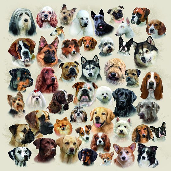 Servietten Lunch – Napkin Lunch – Format: 33 x 33 cm – 3-lagig – 20 Servietten pro Packung - Collection Of Dogs – Hundesammlung