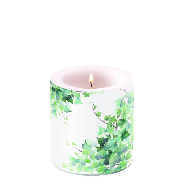 A Kerze klein Candle small Format: Ø 7,5 cm x 9 cm 1 Kerze pro Packung Hedera