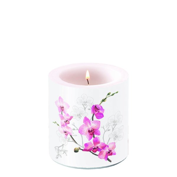 Kerze klein – Candle small – Format: Ø 7,5 cm x 9 cm – Brenndauer: 35 Std. - 1 Kerze pro Packung - Orchid – Orchidee