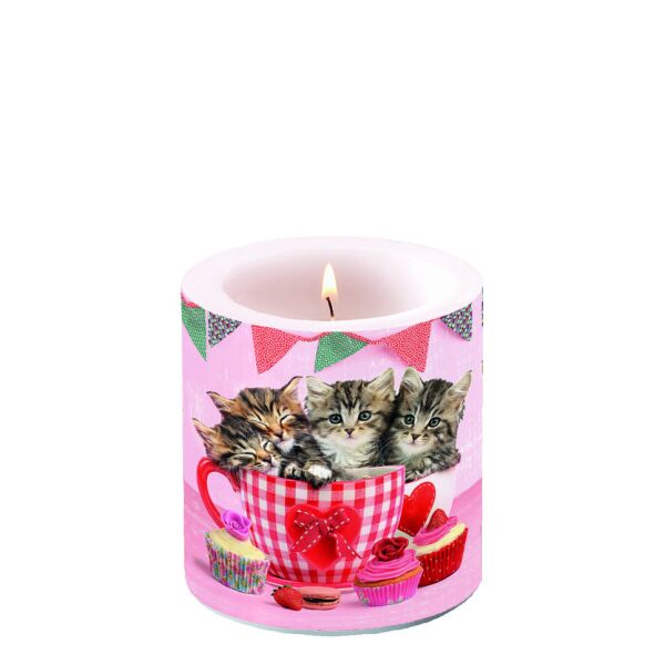 A Kerze klein Candle small Format: Ø 7,5 cm x 9 cm 1 Kerze pro Packung Cats in Tea Cups Kätzchen in Tassen
