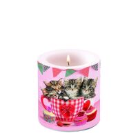 A Kerze klein Candle small Format: Ø 7,5 cm x 9 cm...