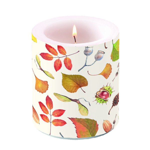 A Herbst Kerze medium Ø 10 cm x 10 cm Brenndauer 45 Std. Autumn Details Herbstdetails, 9,95 €