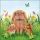 Ostern Servietten Lunch Napkin Lunch Format: 33 x 33 cm 3-lagig 20 Servietten Rabbit Family FSC Mix Hasenfamilie