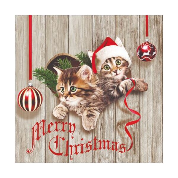 Weihnachten Cocktail Servietten 25 x 25 cm 3-lagig 15 Servietten Curious Kittens Katzen