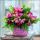 Weihnachten Servietten Format: 33 x 33 cm 3-lagig 20 Servietten Vichy Decoration