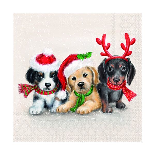 Weihnachten Servietten Format: 33 x 33 cm 3-lagig 20 Servietten Sweet Dogs
