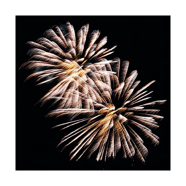 Silvester Neues Jahr Servietten Format: 33 x 33 cm 3-lagig 20 Servietten Golden Firework