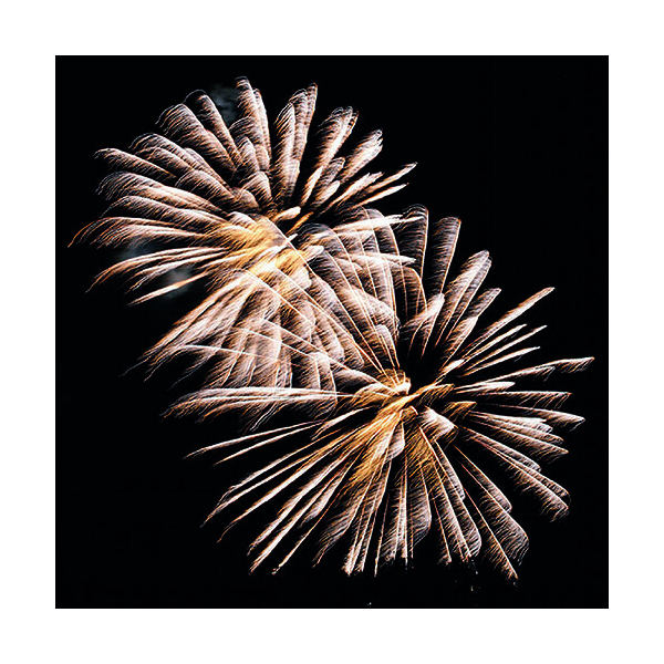 Silvester Neues Jahr Servietten Format: 33 x 33 cm 3-lagig 20 Servietten Golden Firework