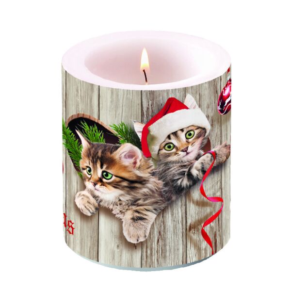 Weihnachten Kerze medium Format: Ø 10 cm x 10 cm 1 Kerze pro Packung Curious Kittens