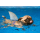 Geburtstag Glückwunschkarte mit Umschlag - Avanti Hund - Text:Auch wenn Dir das Wasser bis zum Hals steht: Alles Gute zum Geburtstag