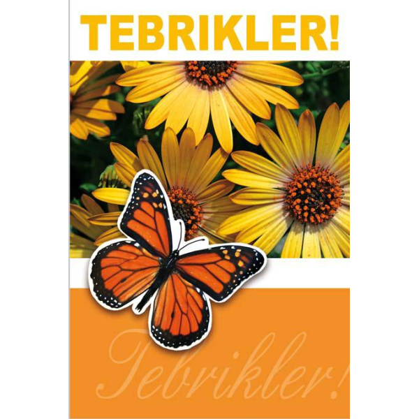 Tebrikler  - Anlass: "Allgemeine Wünsche" gelb - Format: 11,5 x 17 cm - Türkische Grußkarten - Glückwunschkarte mit türkischem Text