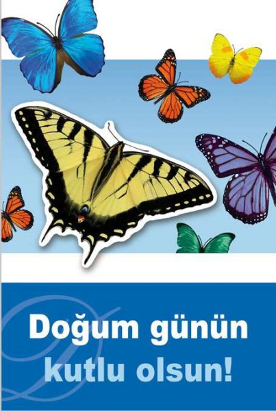Dogum günün kutlu olsun - Anlass: "Geburtstag" blau - Format: 11,5 x 17 cm - Türkische Grußkarten - Glückwunschkarte mit türkischem Text