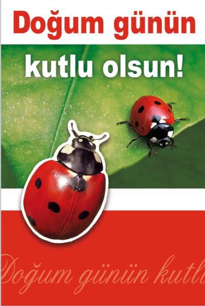 Dogum günün kutlu olsun - Anlass: "Geburtstag" grün - Format: 11,5 x 17 cm - Türkische Grußkarten - Glückwunschkarte mit türkischem Text