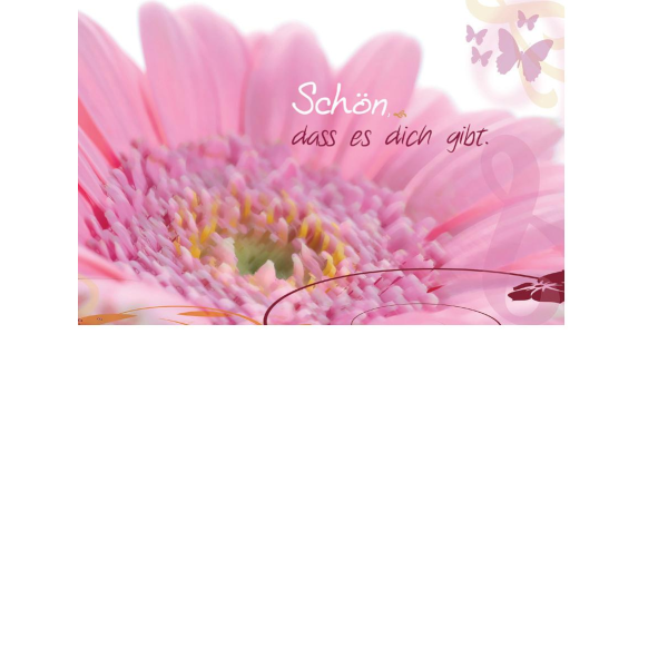 Allgemeine Wünsche  - Postkarten – Format: 11,5 cm x 17,5 cm - Nice Moments – Schön, dass es dich gibt.