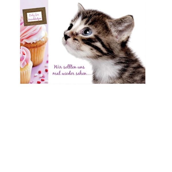 Allgemeine Wünsche  - Postkarten – Format: 11,5 cm x 17,5 cm - Nice Moments – Wir sollten uns mal wieder sehen...
