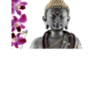 Ohne Text  - Postkarten – Format: 11,5 cm x 17,5 cm...