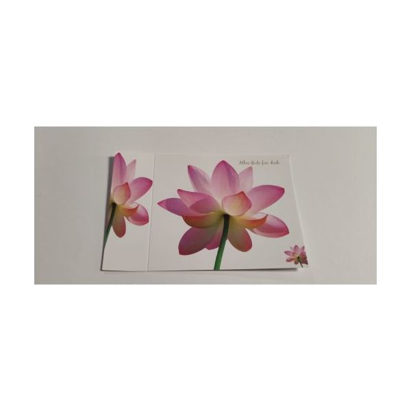 Allgemeine Wünsche  - Postkarten – Format: 11,5 cm x 17,5 cm - Nice Moments – Alles Gute für dich