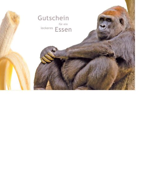 Gutschein  - Postkarten – Format: 11,5 cm x 17,5 cm - Nice Moments – Gutschein für ein leckeres Essen – Gorilla
