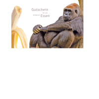 Gutschein  - Postkarten – Format: 11,5 cm x 17,5 cm...