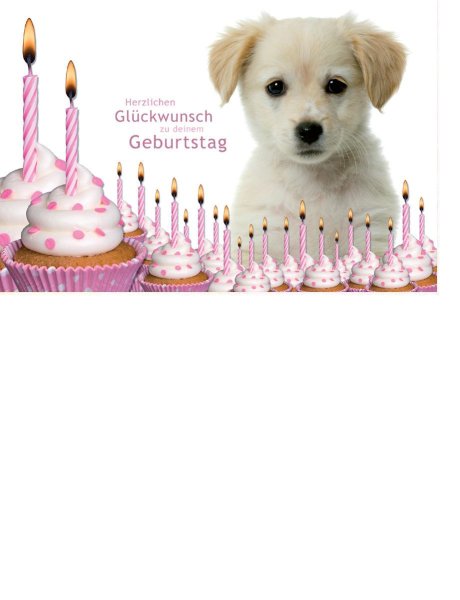 Geburtstag  - Postkarten – Format: 11,5 cm x 17,5 cm - Nice Moments – Herzlichen Glückwunsch zu deinem Geburtstag – Welpe – Kerzen