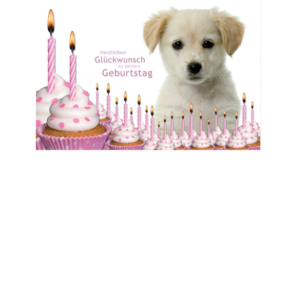 Geburtstag  - Postkarten – Format: 11,5 cm x 17,5 cm - Nice Moments – Herzlichen Glückwunsch zu deinem Geburtstag – Welpe – Kerzen