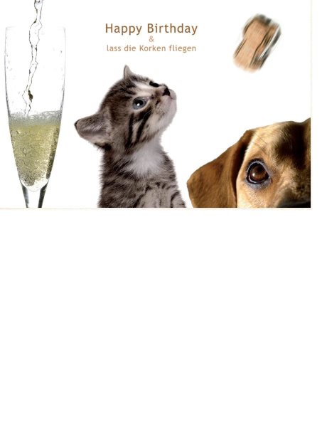 Geburtstag  - Postkarten – Format: 11,5 cm x 17,5 cm - Nice Moments – Happy Birthday & lass die Korken fliegen – Kätzchen und Hund