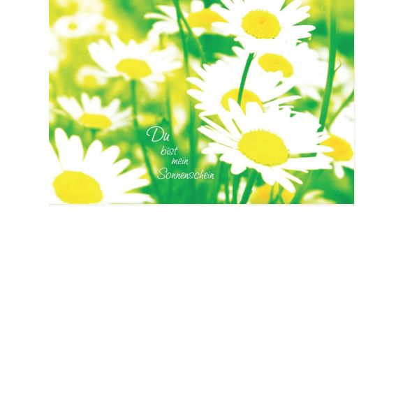 Allgemeine Wünsche  - Postkarten – Format: 11,5 cm x 17,5 cm - Nice Moments – Du bist mein Sonnenschein