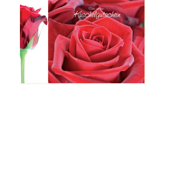 Gutschein  - Postkarten – Format: 11,5 cm x 17,5 cm - Nice Moments – Dies ist ein Kuschelgutschein – Rose