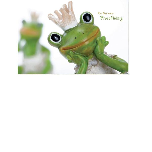 Allgemeine Wünsche Postkarte 11,5 cm x 17,5 cm Nice Moments Du bist mein Froschkönig Aufstellpostkarte