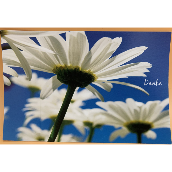 Danke - Postkarten – Format: 11,5 cm x 17,5 cm - Nice Moments – Danke ...