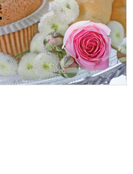 Ohne Text  - Postkarten – Format: 11,5 cm x 17,5 cm - Nice Moments – Muffin & Rose