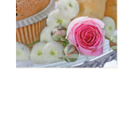 Ohne Text  - Postkarten – Format: 11,5 cm x 17,5 cm...