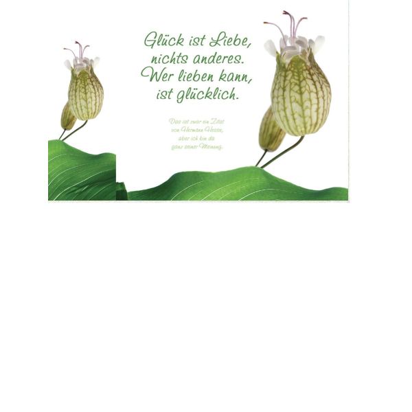 Allgemeine Wünsche  - Postkarten – Format: 11,5 cm x 17,5 cm - Nice Moments – Glück ist Liebe, nichts anderes. Wer Lieben kann, ist glücklich.