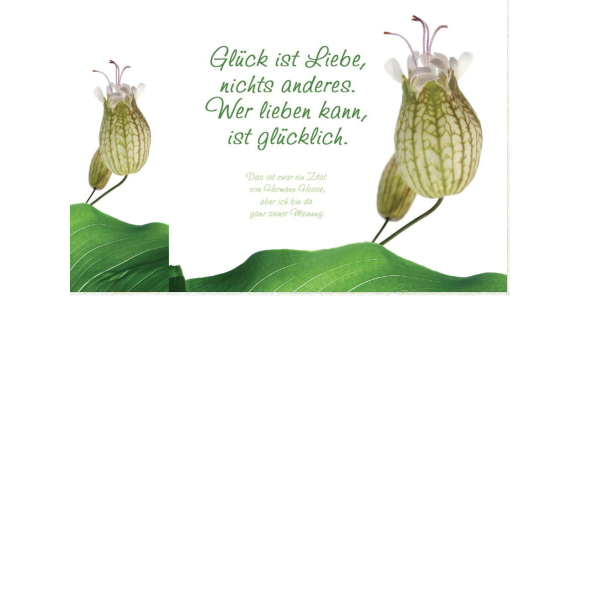 Allgemeine Wünsche  - Postkarten – Format: 11,5 cm x 17,5 cm - Nice Moments – Glück ist Liebe, nichts anderes. Wer Lieben kann, ist glücklich.