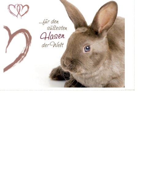Allgemeine Wünsche  - Postkarten – Format: 11,5 cm x 17,5 cm - Nice Moments – Für den süßesten Hasen der Welt – Hase und Herzen