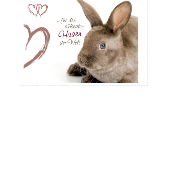 Allgemeine Wünsche  - Postkarten – Format: 11,5 cm x 17,5 cm - Nice Moments – Für den süßesten Hasen der Welt – Hase und Herzen