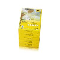 Recycling Kopierpapier 80g/m2 500 Blatt