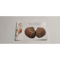 Allgemeine Wünsche  - Postkarten – Format:...