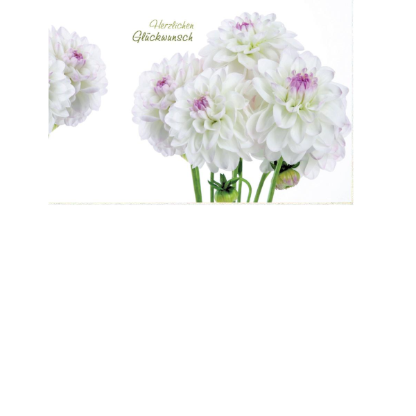 Allgemeine Wünsche  - Postkarten – Format: 11,5 cm x 17,5 cm - Nice Moments – Herzlichen Glückwunsch – Blumen