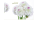 Allgemeine Wünsche  - Postkarten – Format: 11,5 cm x 17,5 cm - Nice Moments – Herzlichen Glückwunsch – Blumen