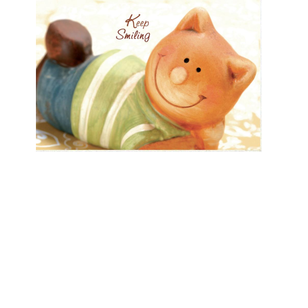 Allgemeine Wünsche  - Postkarten – Format: 11,5 cm x 17,5 cm - Nice Moments – Keep Smiling – Porzellan Katze