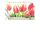 35. Geburtstag Glückwunschkarte mit Umschlag Nice Moments Augentraum Tulpen