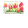 35. Geburtstag Glückwunschkarte mit Umschlag Nice Moments Augentraum Tulpen