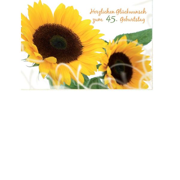 45. Geburtstag Nice Moments Augentraum Karte mit Umschlag Sonnenblume