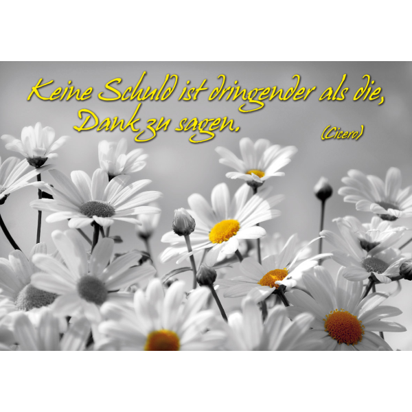 DenkARTen - Postkarte im Format 15 x 10cm - Sprüche - Fotokarten - Keine Schuld ist dringender...