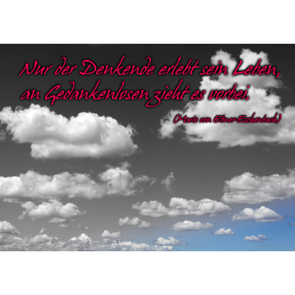 DenkARTen - Postkarte im Format 15 x 10cm - Sprüche - Fotokarten - Nur der Denkende...